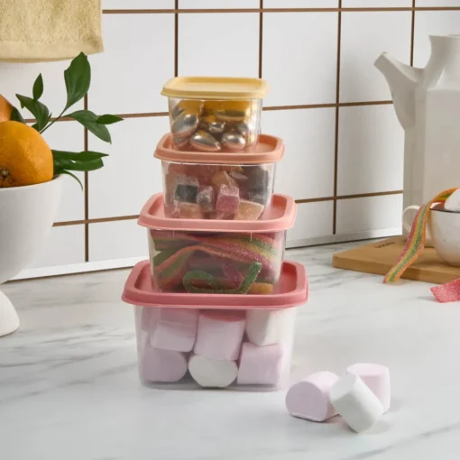 Clearance Dora Mini 4-Piece Storage Container Set, Multi Storage Containers