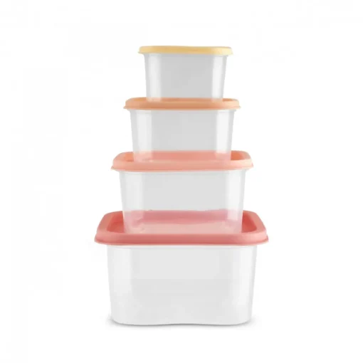 Clearance Dora Mini 4-Piece Storage Container Set, Multi Storage Containers