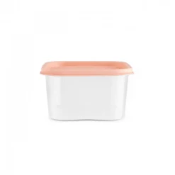 Clearance Dora Mini 4-Piece Storage Container Set, Multi Storage Containers