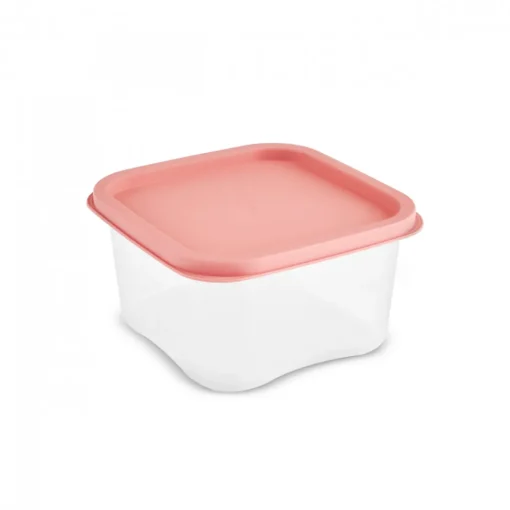 Clearance Dora Mini 4-Piece Storage Container Set, Multi Storage Containers