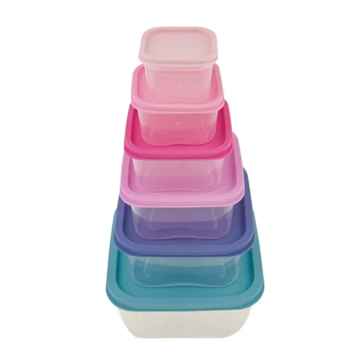 Best Dora Purple 6 Piece Storage Container Set, Multi Storage Containers