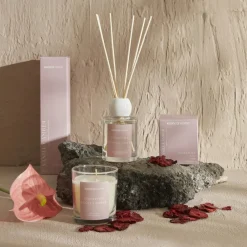 Best Home Vanilla Amber Reed Diffuser, 100 ml, Home Diffusers