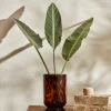 New Patterned Glass Vase, Large, Multi Vases
