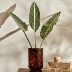New Patterned Glass Vase, Large, Multi Vases