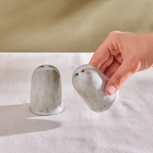 Best Rixton Ceramic Salt and Pepper Shaker, Beige Salt And Pepper Shakers