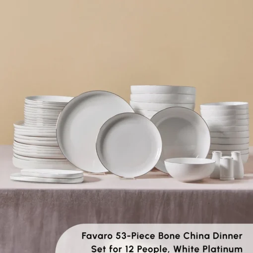 Discount Stream Bone China Favaro 53-Piece Dinner Set for 12 People, Platin See All Dinner Sets|Bone China Dinner Sets