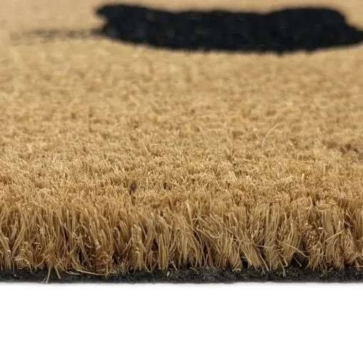 New Kasmir Rugs Cat Home Coco Door Mat, 40cmx60cm, Multi Door Mats